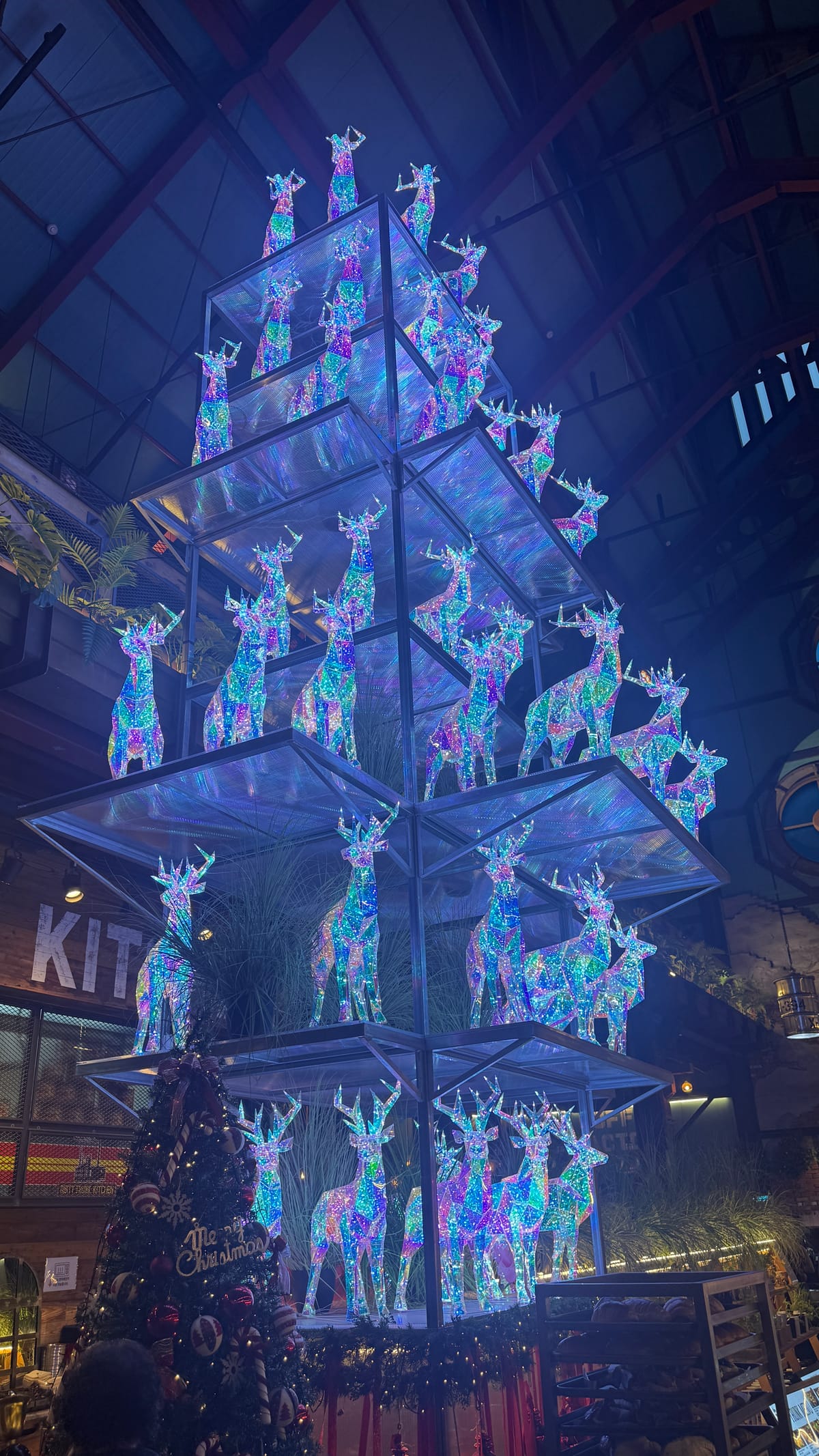 더티트렁크 카페