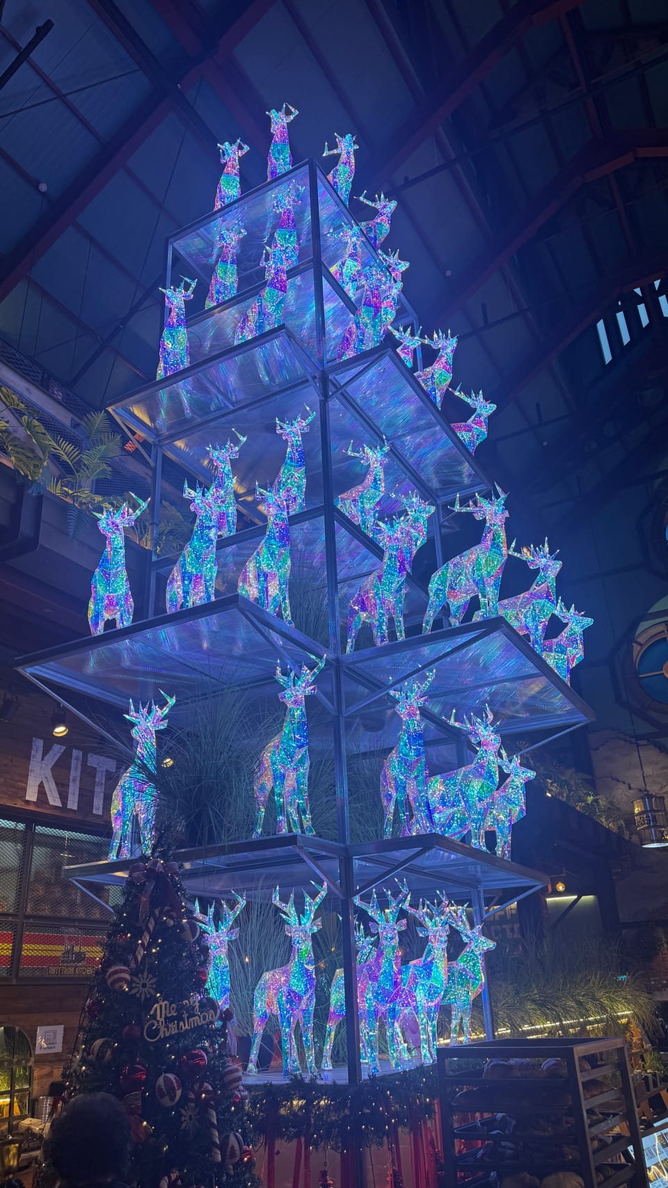 더티트렁크 카페